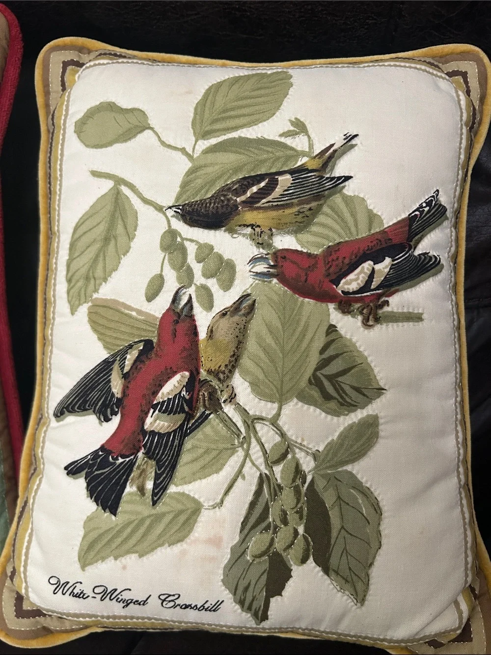 (2) Vintage Bird Throw Pillows -Small